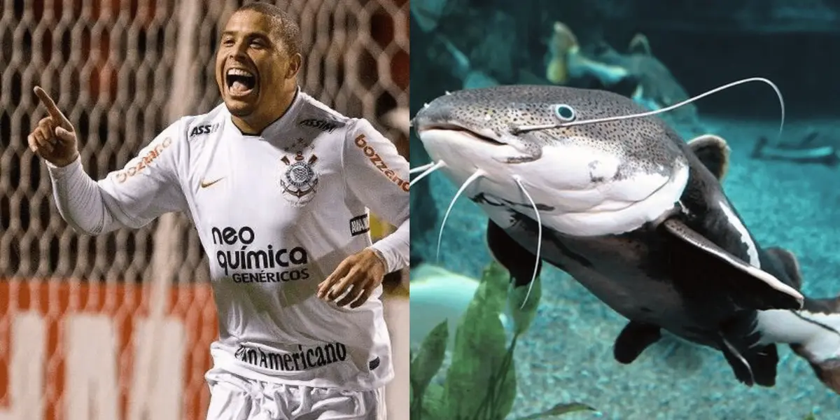 Jogador fez a torcida aumentar suas expectativas no Corinthians mas agora descobrem que não passa de um bagre