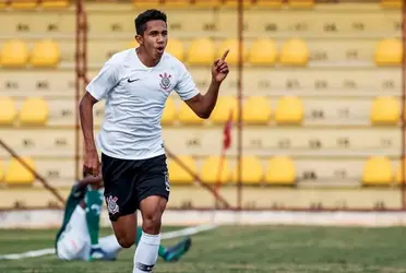 Jogadores disputaram o último Campeonato Brasileiro da Série B pela Ponte Preta