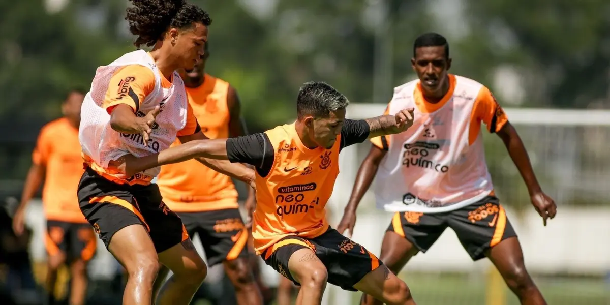 Zagueiro foi um dos destaques do Timão na reta final de temporada no Brasil